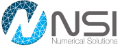 NSI logo